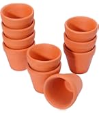 Amazon.co.jp: ルボナリエ 陶器鉢 ミニ 植木鉢 多肉植物鉢 フラワー