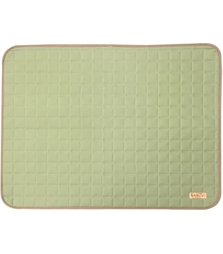 地球の風　 アーシング・ピュアマット　ガイヤの伊吹　2回使用 地球の風 アーシング・ピュアマット ガイヤの伊吹 2回使用 - メルカリ