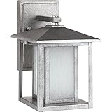 Sea Gull Lighting 89029BLE-57 Outdoor Sconce with Seeded Etched Glass Shades, Weathered Pewter Finis