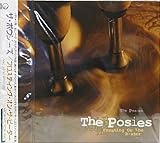 �t���X�e�B���O�E�I���E�U�E�r�[�^�[