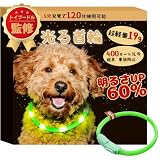 LaRoo 光る首輪 犬 【明るさUP 60%】LED 充電式 犬 散歩 ライト 小型犬 ペット用品 サイズトリミング可能 超軽量 簡単着脱 おしゃれ (グリーン 35cm)
