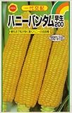 アタリヤ農園 ガーデニング用品 種 ハニーバンタム 早生200