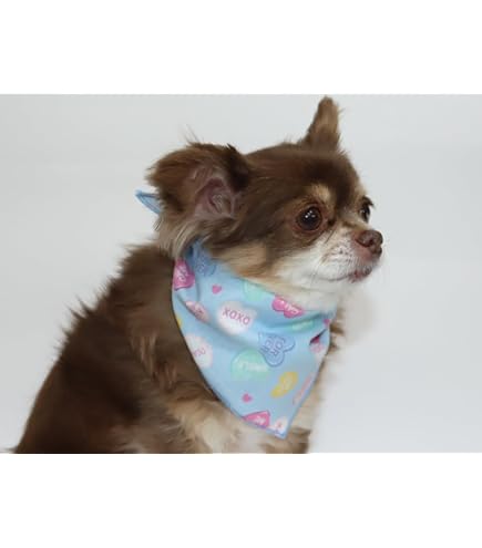 Amazon | ［CHAMMY］【桜バンダナ 12枚セット】トリミング バンダナ