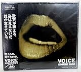 VOICE