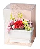 Paseo クリアケース入り プリザーブドフラワー クラシックローズ レッド 15×15×H20cm M-32RD