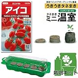 春まき種の苗つくりセット：トマト：ミニトマト　アイコ[うまみとコクたっぷりの人気品種！] ノーブランド品