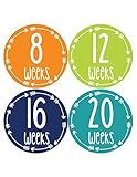 Months in Motion 956 Pregnancy Baby Bump Belly Stickers Maternity Week Sticker Arrows (Orange/Green/