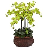 ほぼ自然1201-gr Large胡蝶蘭シルク花Arrangement、グリーン