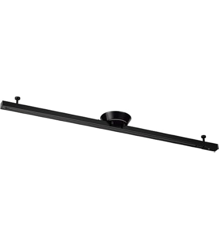 Amazon | 大光電機 DAIKO 簡易取付式ダクトレール スライドタイプ 1m用