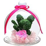 TEATSIGHT プリザーブドフラワー アニマルモス ガラスポット入り フラワーアレンジ ラッピング済み （ 猫 バラ パステルピンク ）