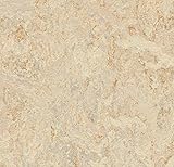 Forbo Marmoleum Realシートフローリング5平方ヤードto beカットの6 ' 5 " Wide Roll – からiDecor。(チェックサイズのイメージ) – Rosato 312