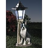 Bits and Pieces-Solar Boston Terrier Lantern-Solar Powered Garden Lantern - Resin Dog Sculpture With