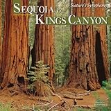 �l�C�`���[�Y�E�V���t�H�j�[�u�Z�R�C�A�E�A���h�E�L���O�X�E�L���j�I���v