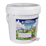 菊水化学工業 ケツロナイン 18kg 白