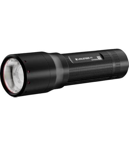 Amazon.co.jp: Ledlenser(レッドレンザー) P6R Core 充電式懐中