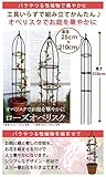ローズオベリスク ブラック 25×210cm