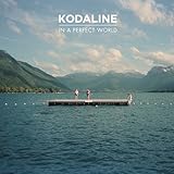 In a Perfect World [12 inch Analog]