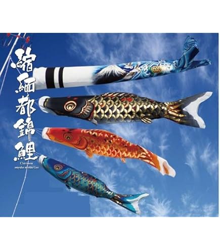 Amazon | 【家紋・名入れ対応】【庭園用鯉のぼり】5m青海波金太郎雲竜