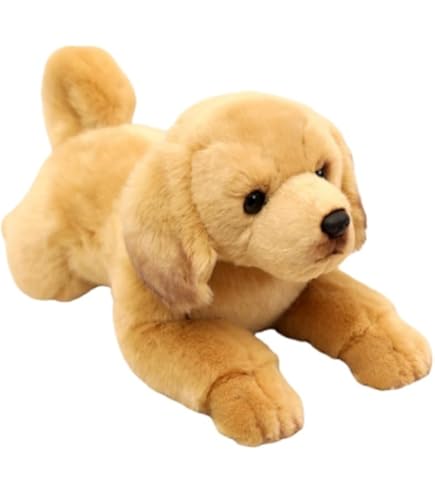 Amazon.co.jp: ゴールデンレトリバー ラブラドール レトリーバー 犬