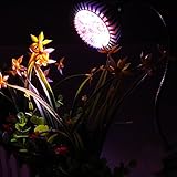 7w led plant grow light us plug garden and indoor planting