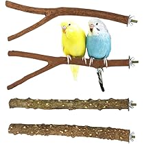 新品 4個 インコ 小型 中型 止まり木 おもちゃ 玩具 バードトイ 新品 4個 インコ 小型 中型 止まり木 おもちゃ 玩具 バードトイ