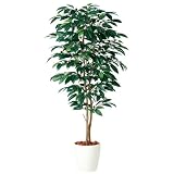エフプランター 人工観葉植物-コーヒーデュアル-150-8号鉢-RP265