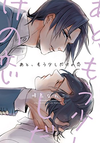 『あと、もう少しだけの恋』1巻