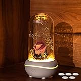 プリザーブドフラワー アロマディフューザ プレゼント Lechin 造花 バラ 枯れない花 生花 ドームアレンジ 母の日 バレンタインデー入