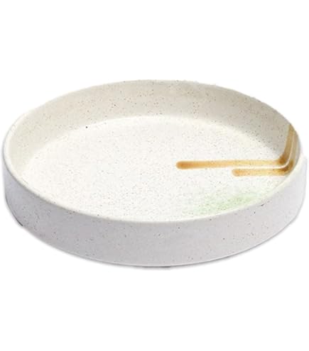 Amazon.co.jp: C0028 水石 加茂川石 Kamogawa-ishi 水盤付き