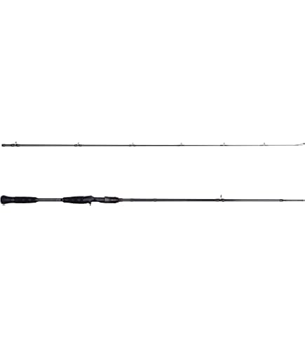 Amazon.co.jp: Abu Garcia TAKOSSFIELD TKFS-762H Spinning #1373906