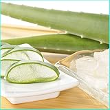 アロエベラ５ｋｇ