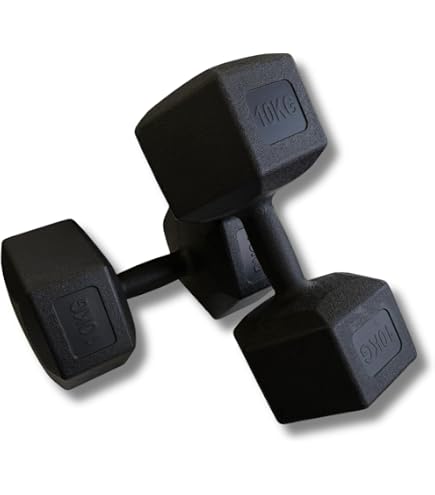 Amazon | WILD FIT ワイルドフィット 固定式 クローム ダンベル 20kg 1