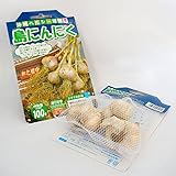 【球根・にんにく】 国産 島にんにく 球根 100g