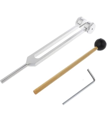 Amazon.co.jp: ゴスペラーズ 北山陽一 音叉 : 楽器・音響機器
