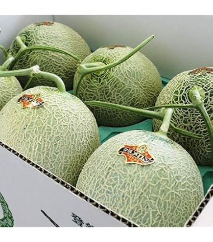 夕張メロン (共撰：優品）1箱 8kg (4-7玉) Amazon.co.jp: 発送中 夕張メロン 優品 訳あり 夕張農協共撰 夕張