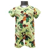 (ポスター) POSTAR　トロピカルフラワーロンパース ライム　80cm