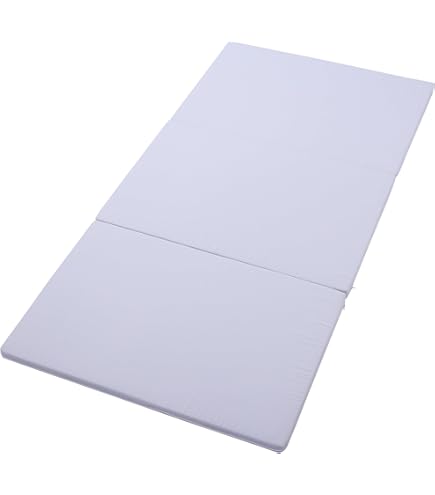 Amazon.co.jp: 【西川】[西川エアーレイヤー98]レイヤーシート