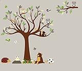 HH Baby Boutique Nursery Owl Wall Decal, Teddy Bear, Turtle, Frog Wall Decals, Nursery Animal Wall D