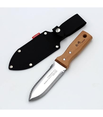 Amazon.co.jp: 553 上澳園芸 アガベ チタノタ shangao-002 魔龍 優良