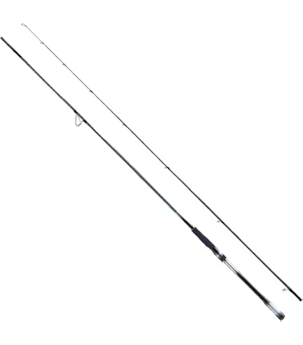シマノ　ルナミス　906ML Amazon | シマノ(SHIMANO) シーバスロッド 26ルナミス S100M | シマノ