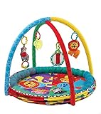 Playgro Ball Play Nest Activity Gym for Baby [並行輸入品]