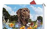 チョコレートLabrador – Best of Breed Dog Breedメールボックスカバー
