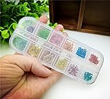 ミニ自然カスミソウ押し花 プラスチック箱 ドライフラワー ガラスグローブフィラーDIY魅力