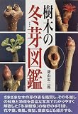 樹木の冬芽図鑑 樹木の冬芽図鑑