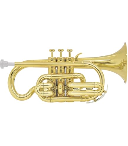 Amazon | YAMAHA YCR-2610SIII E♭ コルネット (ヤマハ YCR2610SIII