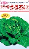 松永種苗 永光 サラダ菜 うるおい (洋菜類) 小袋2ml