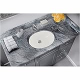 Cahaba ca425 V17-b 19 – 1 - X 16 – 1 -ビスケットガラス磁器バスルームシンク