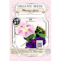 専用ページ☆朝顔 楽天市場】【種子】朝顔 松風 タキイ種苗のタネ : Ivy