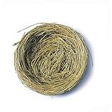 パッケージ12の自然2 – 1 / 4 "の枝の鳥の巣の結婚式の贈り物、パーティーFavorsまたはベビーシャワー