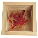 金魚アート 3Dまめ金工魚 「彩/もみじ/紅葉」 こだわりの純日本製 プリザーブドフラワー プレゼント